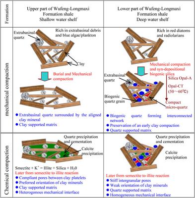 Depositional and Diagenetic Controls on Macroscopic Acoustic and Geomechanical Behaviors in Wufeng-Longmaxi Formation Shale